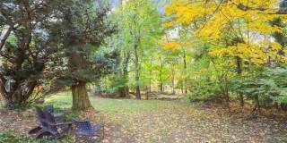 47 Hollow Tree Ridge Road Gallery 31