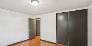 Colony Park Gallery 16