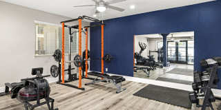 Celeste Glendale Gallery 2