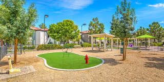 Avondale Gallery 20