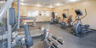 The Marque Gallery 26