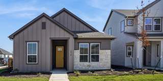 Canvas at Anna Gallery 25