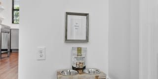 Odyssey Gallery 23