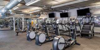 Cortland on Blake Gallery 16