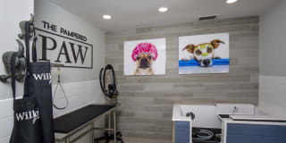 The Willows Apartments Gallery 35