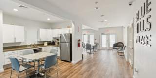 Blue Hills Village Gallery 10