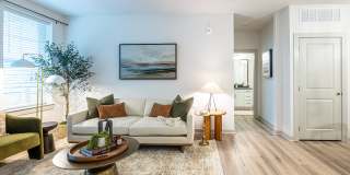 Livano Knoxville Gallery 11