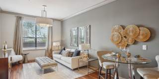 Forum on San Felipe Gallery 15