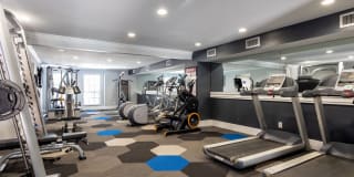 McAlister Gallery 24