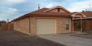 We're not horsing around here! Gallery 1