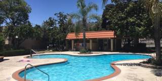 Upgraded 2 Bedroom 2 Bath Condo, Available Now! Gallery 3