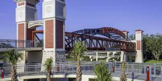 Cadia on the Loop Gallery 33