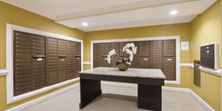 First National Apartments First National Apartments Gallery 5