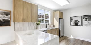 Palm Trace Landings Gallery 14