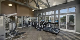 Almaden Lake Village Gallery 4