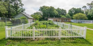 Cherry Court Gallery 12