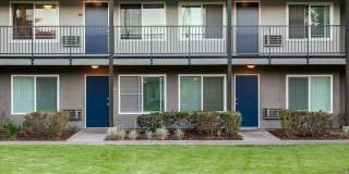 Tierra Palms Gallery 1