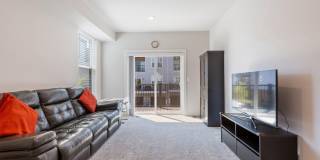 44504 WOLFHOUND Square Gallery 15