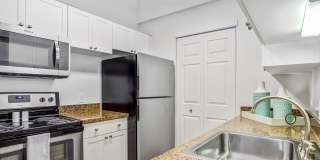 Shoal Creek Gallery 3