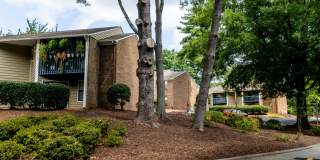 Mill Creek Flats Gallery 27