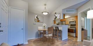 Timberglen Gallery 25