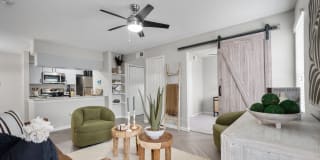 The Jaxon Gallery 19