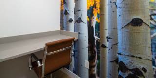 Nova West Gallery 24