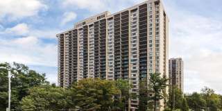 3701 S GEORGE MASON DR #904-N Gallery 1