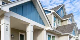 Mihir Taylor Gallery 3