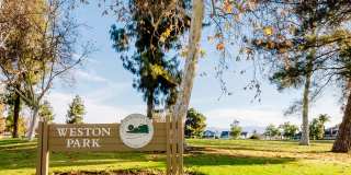 Legends of Rancho Belago Gallery 93