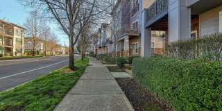 Beautiful Ground Level 1+br Condo ** Water/Sewer/Garbage Included ** Gallery 21