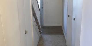 Westbury Park Gallery 79