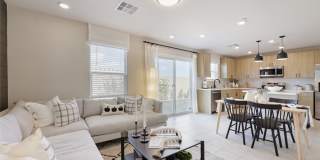 911 Cadence View Way Gallery 6