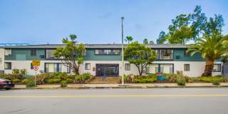 Hollyview Gallery 3