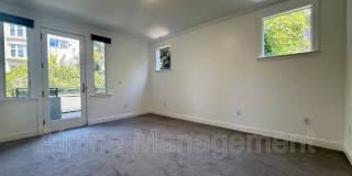 3316 California Street #2 Gallery 12