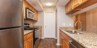 Sussex Downs Gallery 40