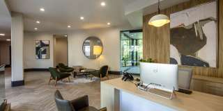 Accent Gallery 4