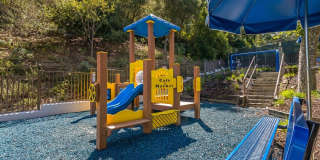 10227 Autumn Leaf Cir Gallery 26