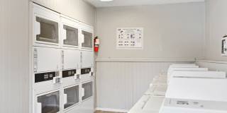 The Midway Gallery 5