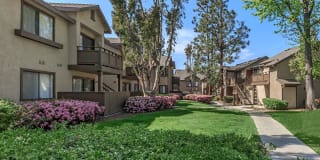 Spring Lakes Apartment Homes Gallery 25