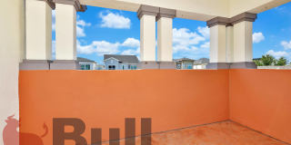 8233 Canetti Street Gallery 50
