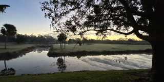 4581 Forest Wood Trail Gallery 1