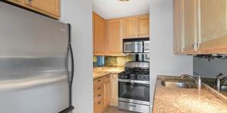 Incredible 1b1b in downtown Streeterville prime location Gallery 6