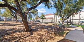 Water Oak Gallery 92