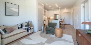 The Basin Gallery 44