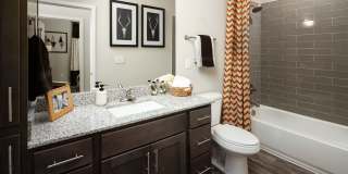 The Alexandria Gallery 31