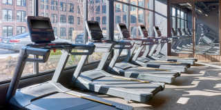 The Winston Gallery 20