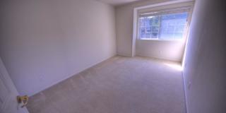 201 Yarborough Ln 201 Yarborough Ln Gallery 29