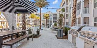 Primrose at Santa Rosa Beach Gallery 57