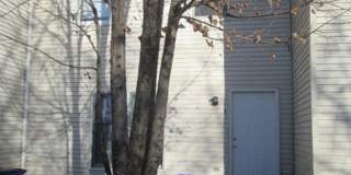 4 Bedroom 3 Bath Townhouse 4 Bedroom 3 Bath Townhouse Gallery 1